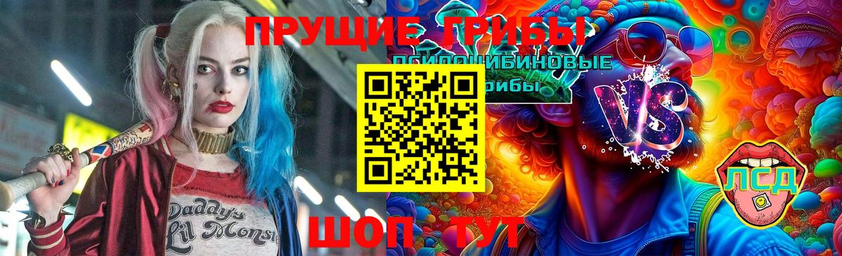 Галлюциногенные грибы MAGIC MUSHROOMS  Псилоцибиновые грибы ЛСД  Вход с VPN  Новозыбков 